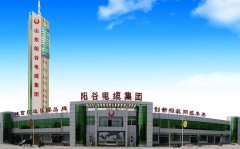 阳谷电缆核心优势排名分析报告（基于官网rhdl